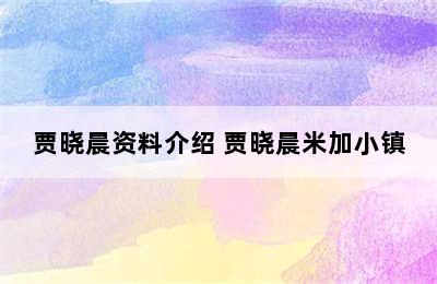 贾晓晨资料介绍 贾晓晨米加小镇